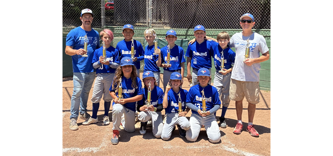 2026 AAA Champions Blue Jays